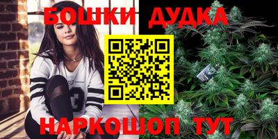 мдпв Будённовск