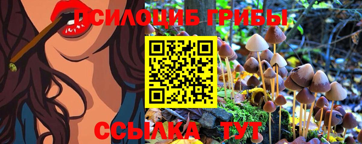 Галлюциногенные грибы прущие грибы Кубинка