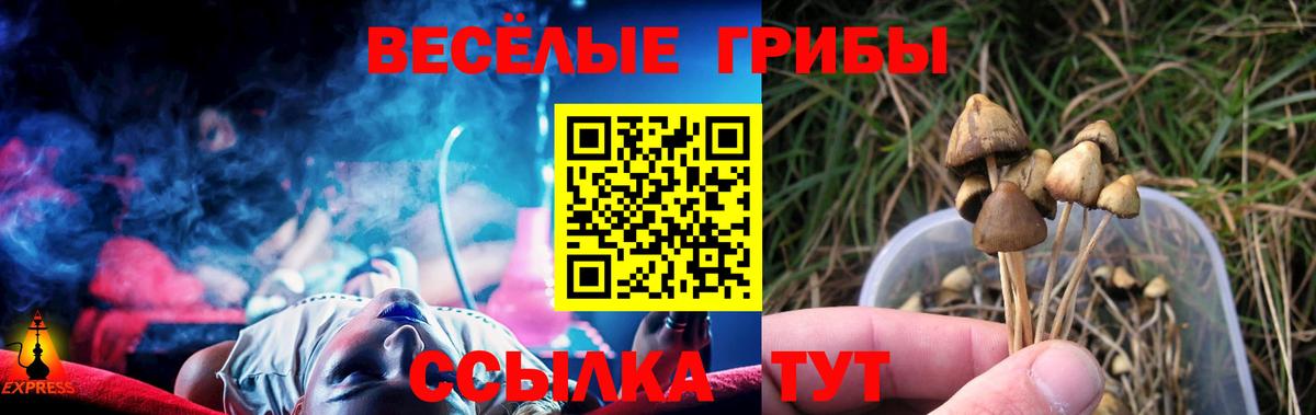 Галлюциногенные грибы Cubensis  Вход с VPN  Кубинка 